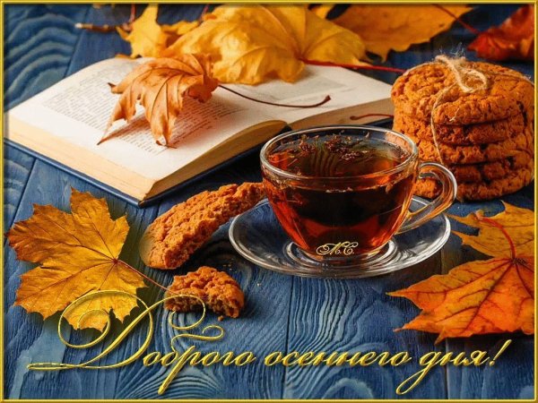 Теплого осеннего дня