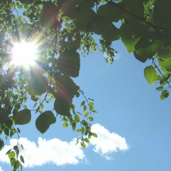 Доброго воскресного дня православные