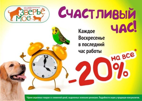 ЗВЕРЬЕ моё скидки воскресенье