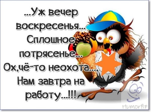 Воскресенье выходной прикольные