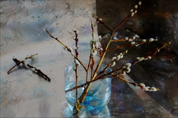 Василий Кукса Вербное воскресенье