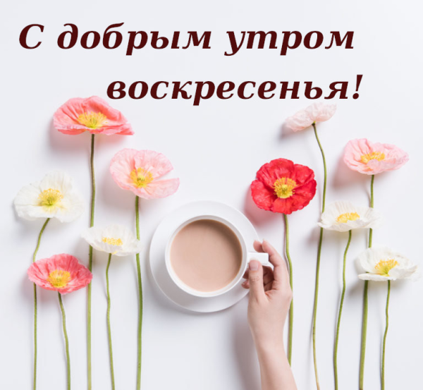 Хорошего денечка и отличного настроения
