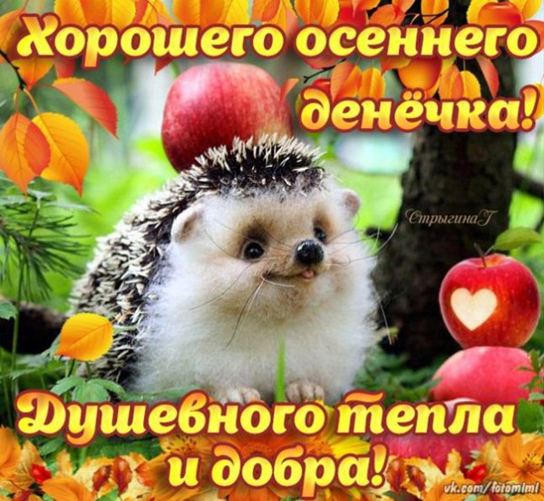 Хорошего осеннего денечка