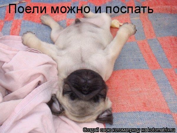 Поели можно и поспать картинки