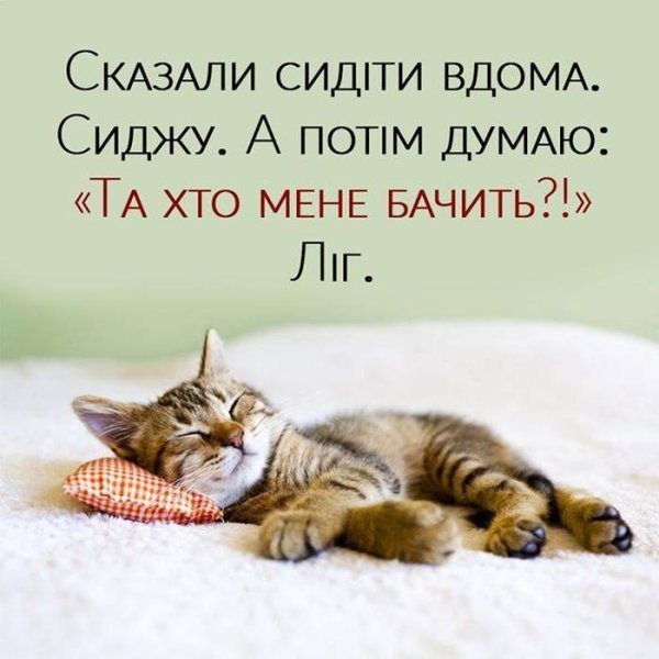 Спокойной ночи завтра на работу