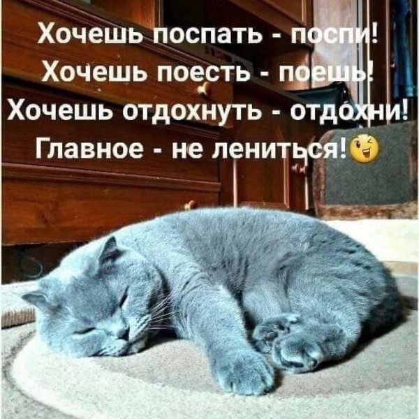 Хорошо поспать и отдохнуть