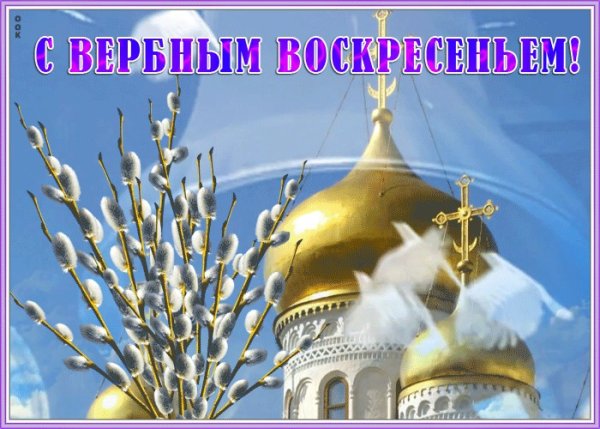 Открытки с Вербным воскресеньем 2020 бесплатно
