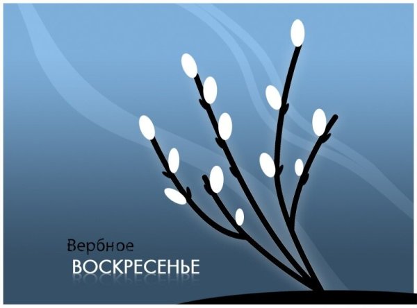 Веточка вербы открытка