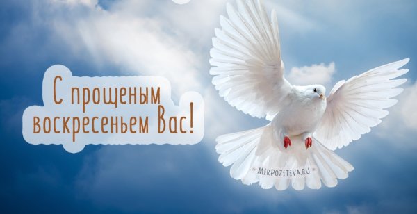 Прощеное Воскресение - в белом цвете