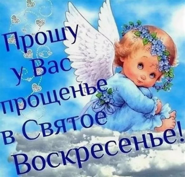 С прощенным воскресеньем голубь