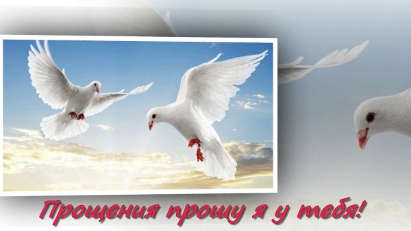 С прощенным воскресеньем