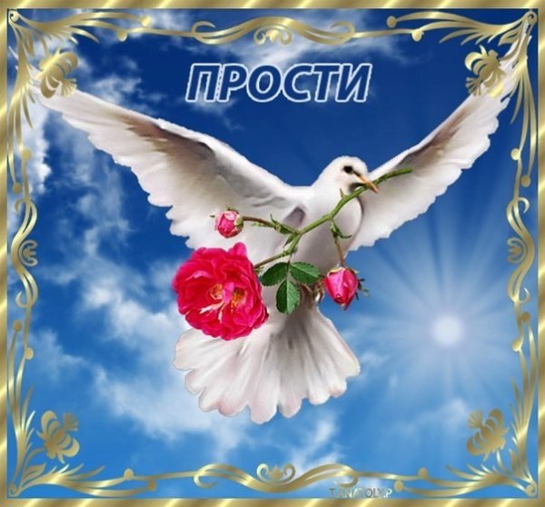 Голубь мира и любовь