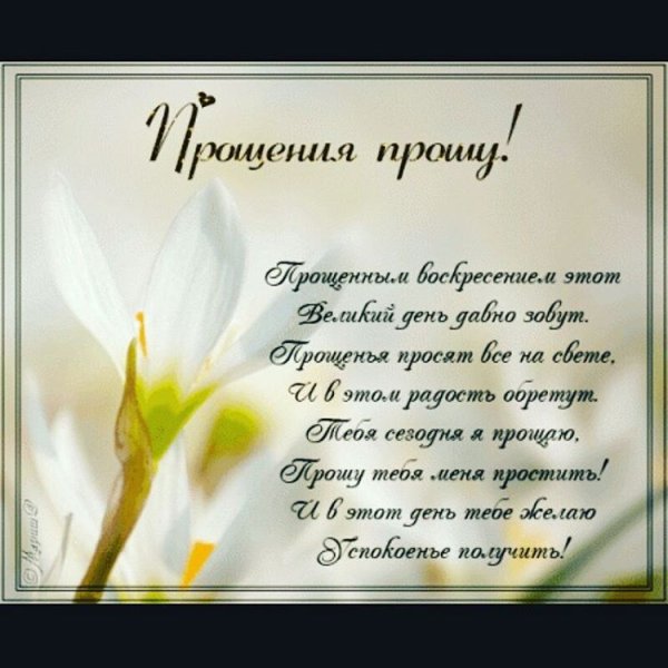 Слова благодарности и прощения