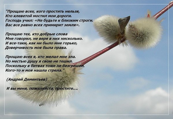 Открытки с вербой