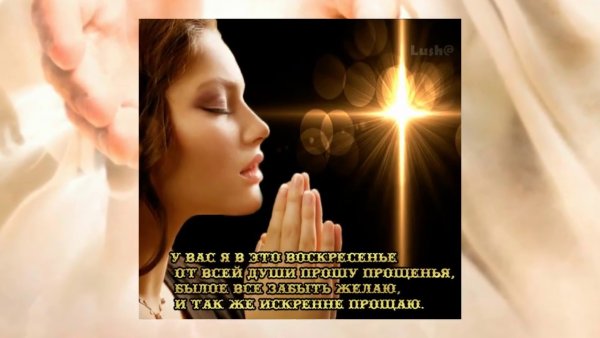 Стих прошу прощения у всех