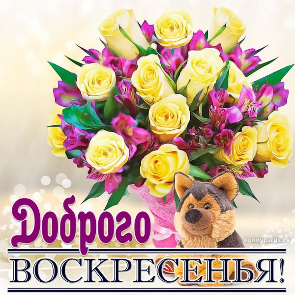 Воскресенье цветы