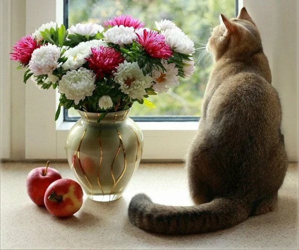 Открытка с котом хорошего настроения