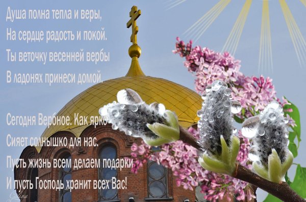 С Вербным воскресеньем красивые