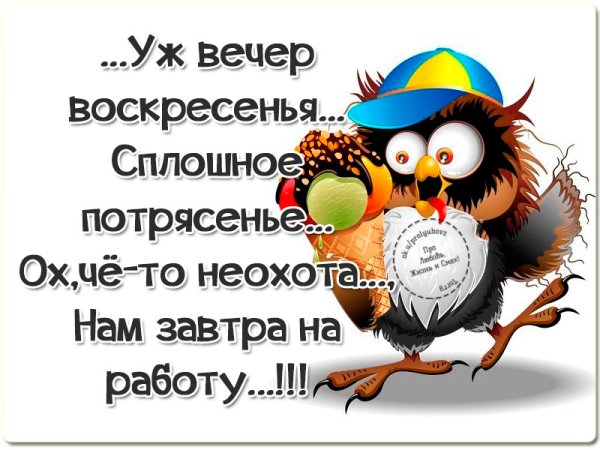 Высказывания про воскресенье