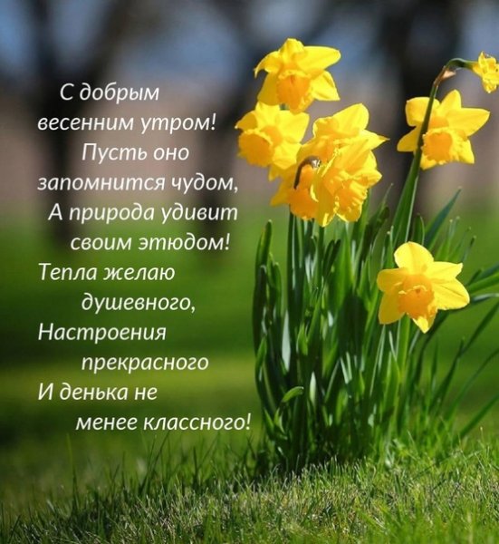 Доброе утро с весной