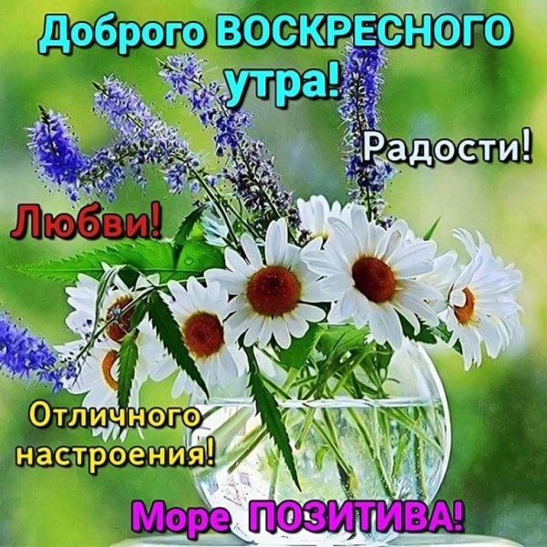 Пожелания с добрым воскресным утром