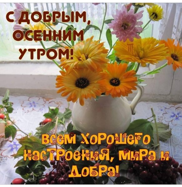 Доброе утречко и хорошего денечка