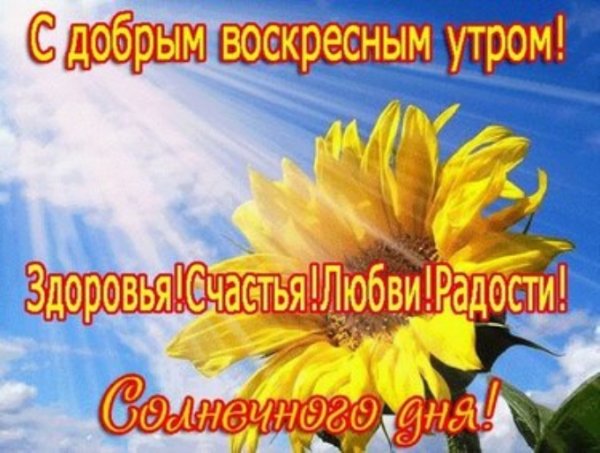 С добрым воскресным утром