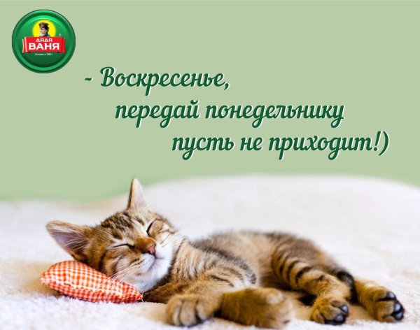 Доброе утро воскресенье прикольные