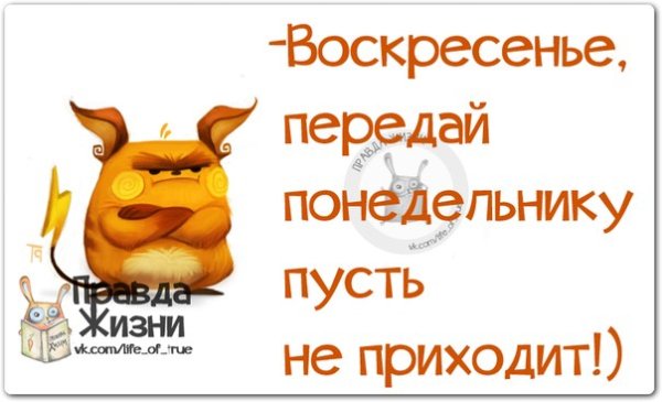 Презентация окончена спасибо за внимание
