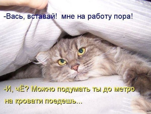 Открытка лето пришло