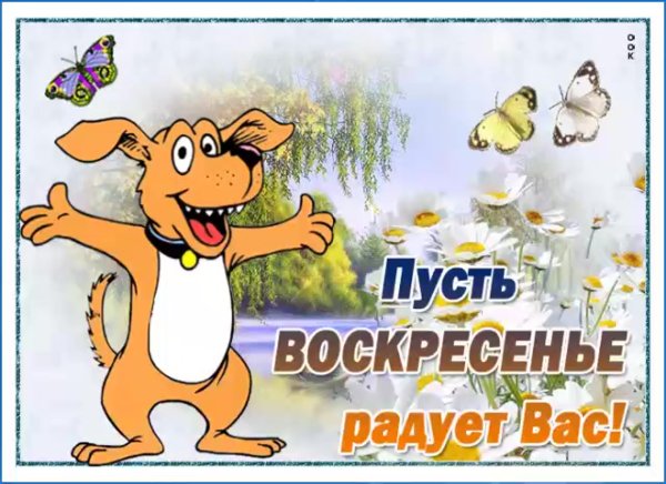 Открытки с добрым утром воскресенья