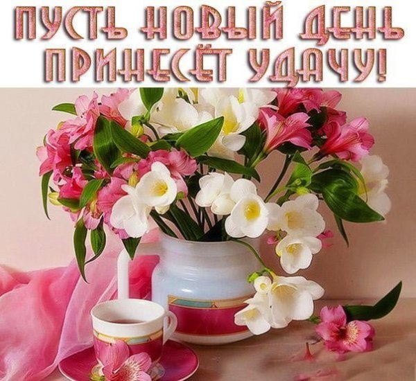Чудесного утра и прекрасного настроения красивые