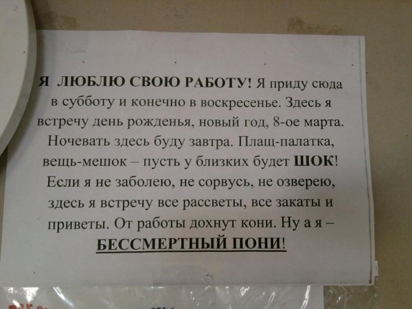Воскресенье смешные коты