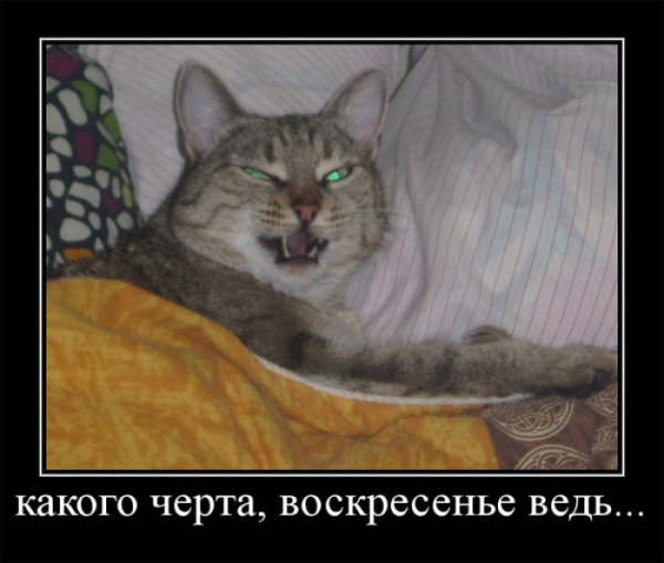 Шутки про понедельник