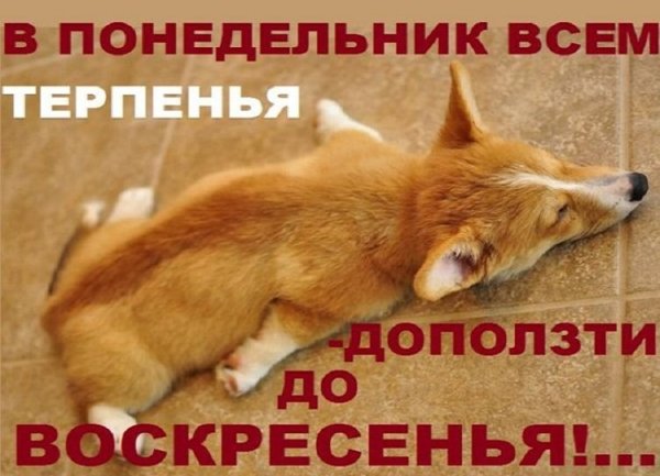 Воскресенье на работу прикольные