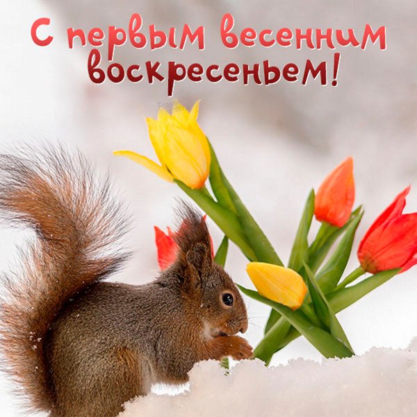 С весенней субботой