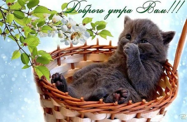 Доброе утро Весна с животными