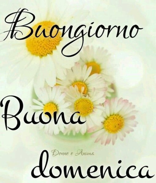 Buongiorno domenica открытки