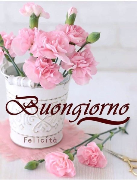 Пожелание доброго дня на итальянском языке