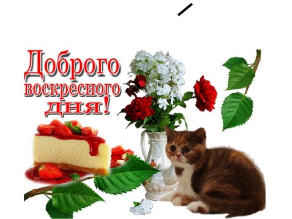 Доброго воскресного дня
