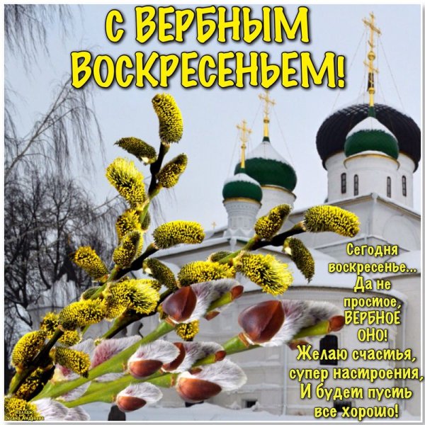 С Вербным воскресеньем открытки