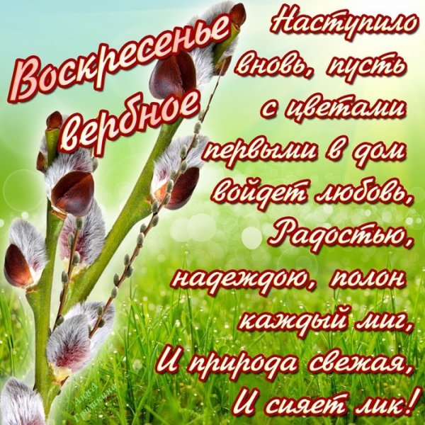 Поздр с Вербным воскресеньем