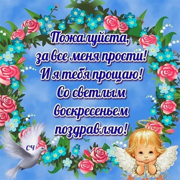 Открытки с извинениями