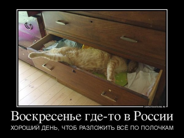 Высказывания про выходные позитивные