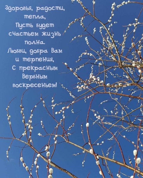 С Вербным воскресеньем надпись