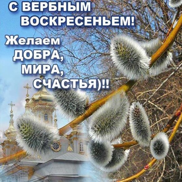 С Вербным воскресеньем открытки