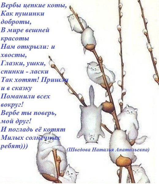 Стихотворение про вербу
