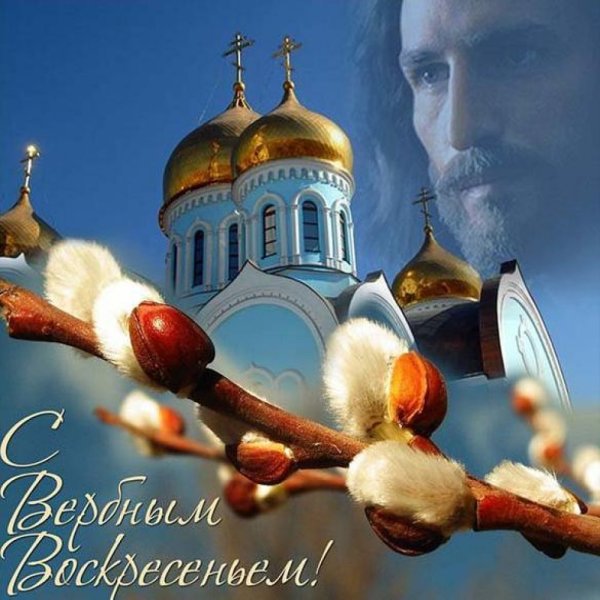 Верба Церковь Вербное Воскресение