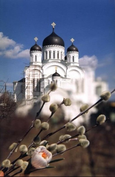 С Вербным воскресеньем