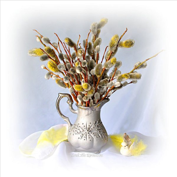 Веточка вербы с Вербным воскресеньем